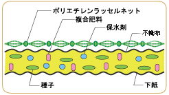 グリーンエース断面図