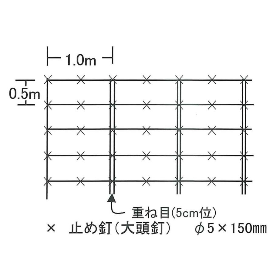 oogashira_dasetsu
